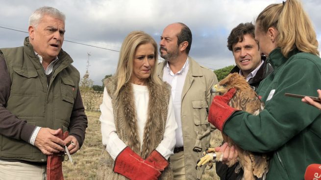Cristina Cifuentes