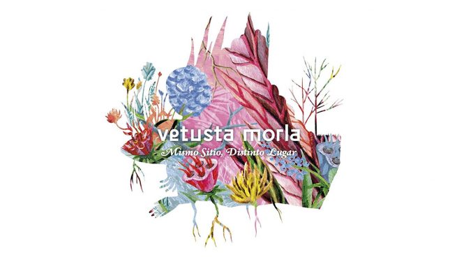 Vetusta Morla presentarán su nuevo disco con una actuación gratuita en la Biblioteca Nacional