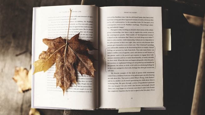 Libros otoño