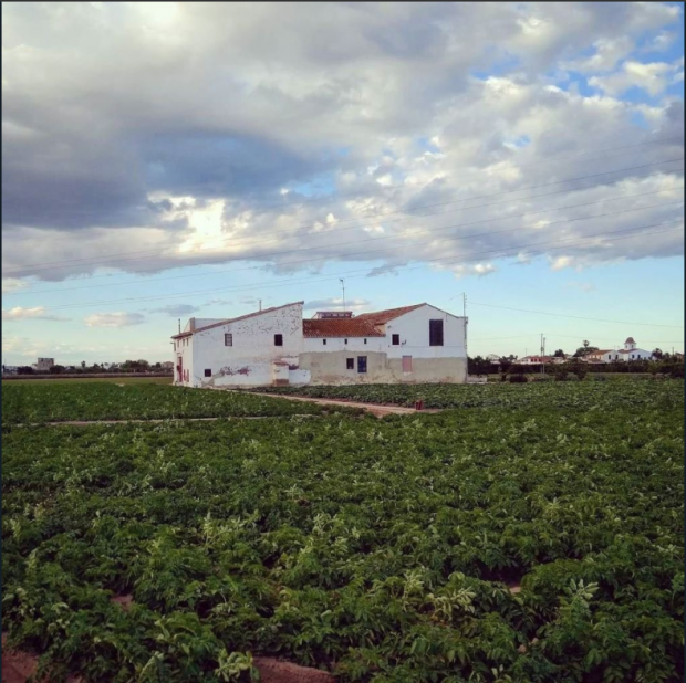 La ley de la Huerta de Puig y Oltra amenaza con expropiar a los propietarios que no cultiven sus campos