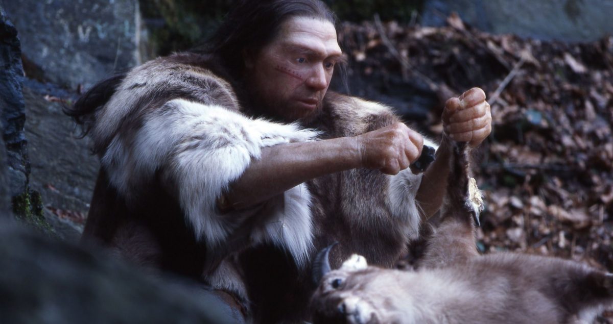 Los neandertales ya tomaban ‘aspirinas’ hace 48.000 años