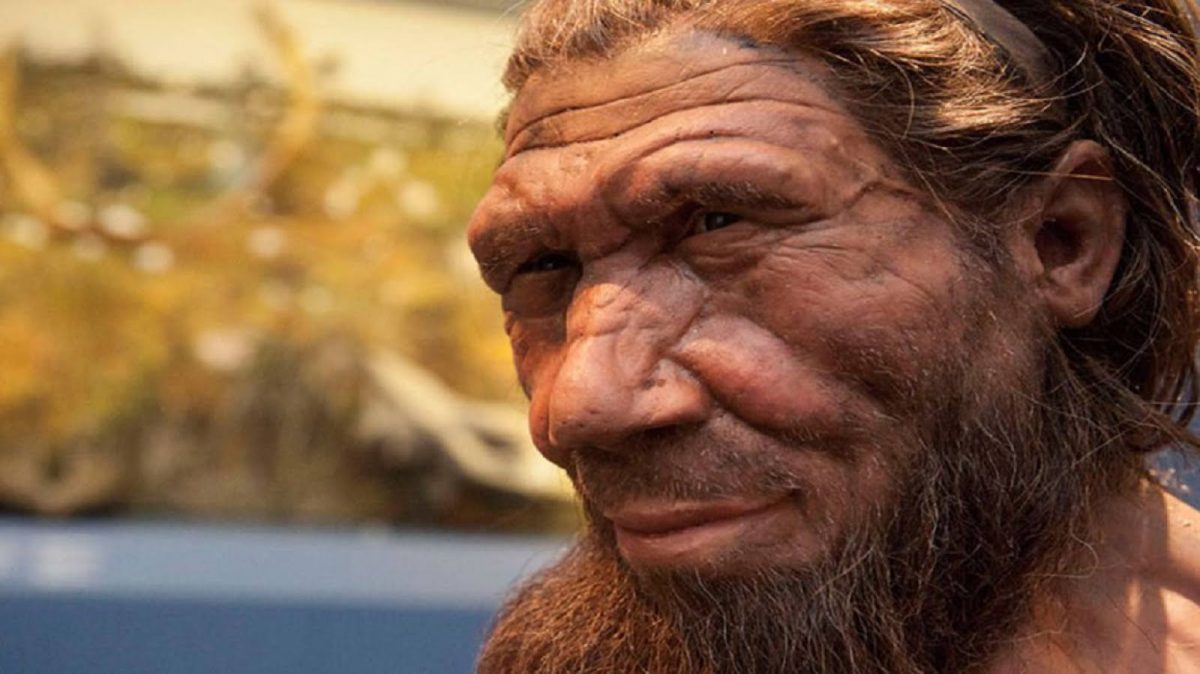 Los neandertales consumían también otro tipo de antibióticos.