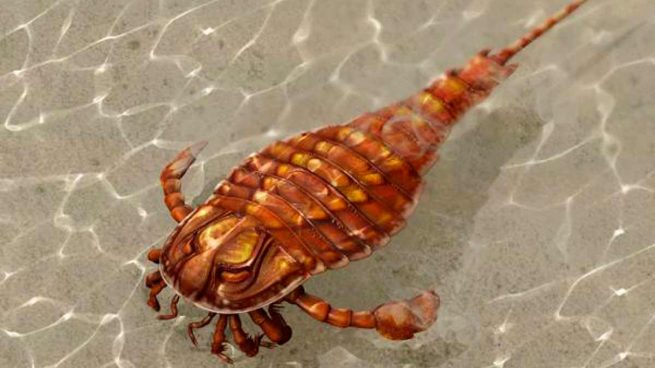escorpión de mar