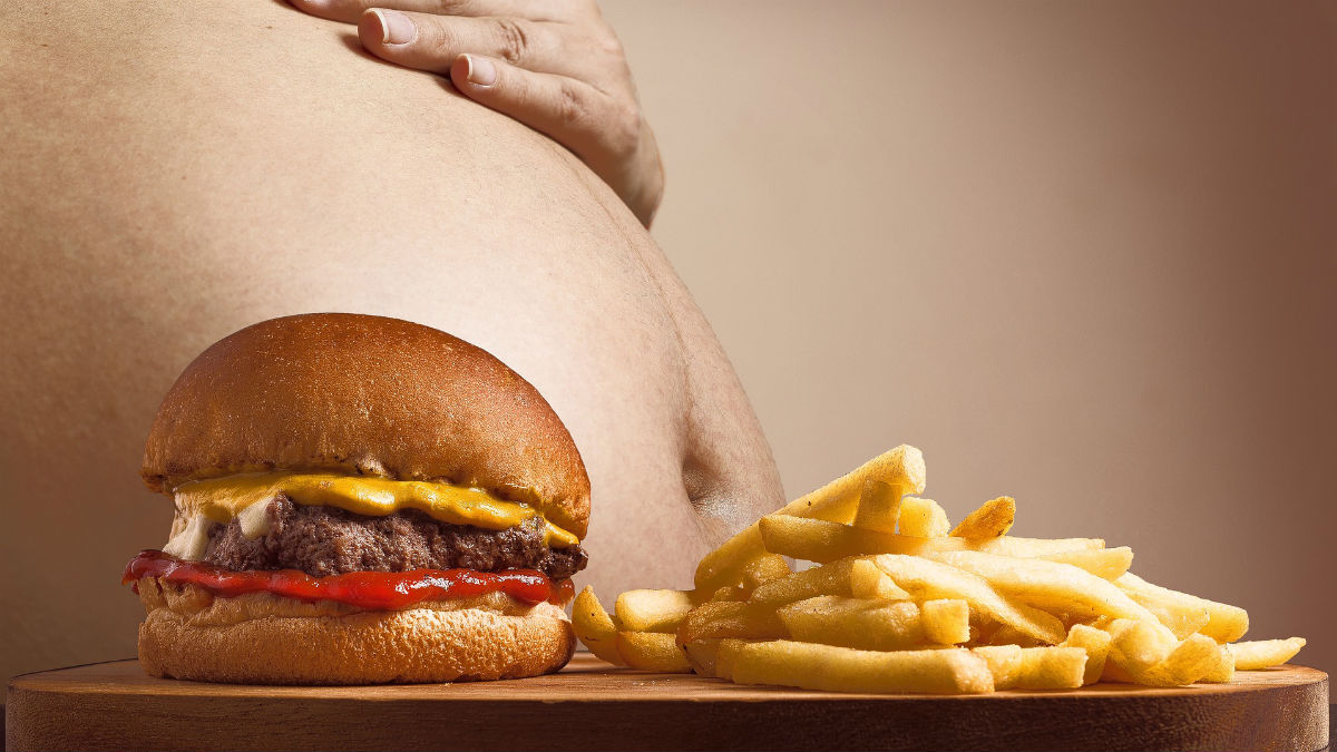 Una dieta excesivamente calórica provoca cambios en el cerebro que fomentan la obesidad.