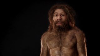 Homo Sapiens, curiosidades, descubrimientos