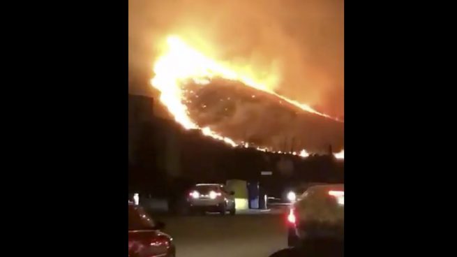 El incendio forestal de Puerto Pollença (Mallorca) provoca los primeros desalojos