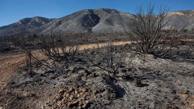 Herido el piloto de un ultraligero al chocar contra un helicóptero que volvía del incendio de Culla (Castellón)