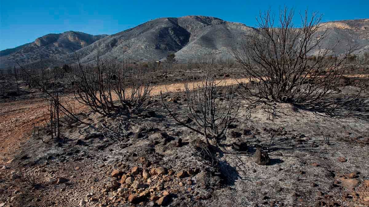 Incendio en Culla (Foto: EFE)