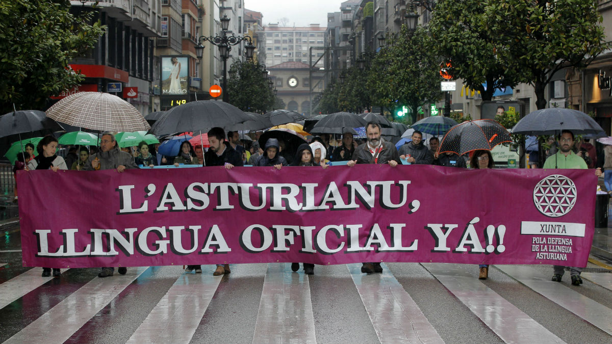 Manifestación a favor de la oficialidad del asturiano en Oviedo (Foto: EFE).
