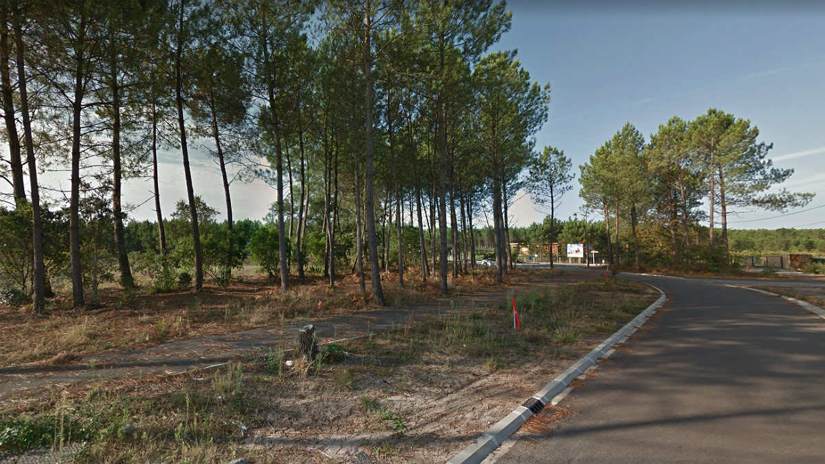 Bosque de Tosse, en Las Landas (Francia), donde se encontró otro zulo con explosivos de ETA