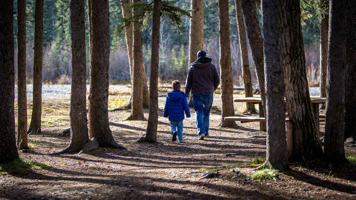 Un padre pasea con su hijo por el bosque.