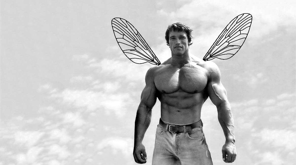 No sabemos si al actor de Holywood le habrá hecho mucha gracia