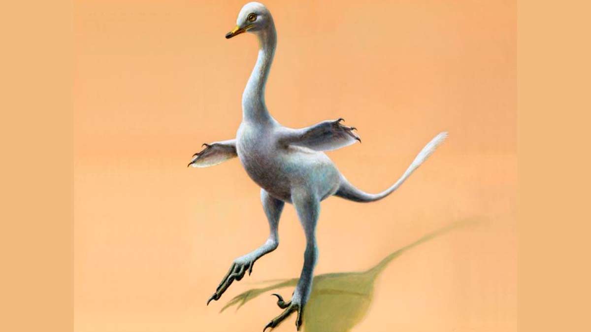 Un dinosaurio con cierto parecido a los cisnes