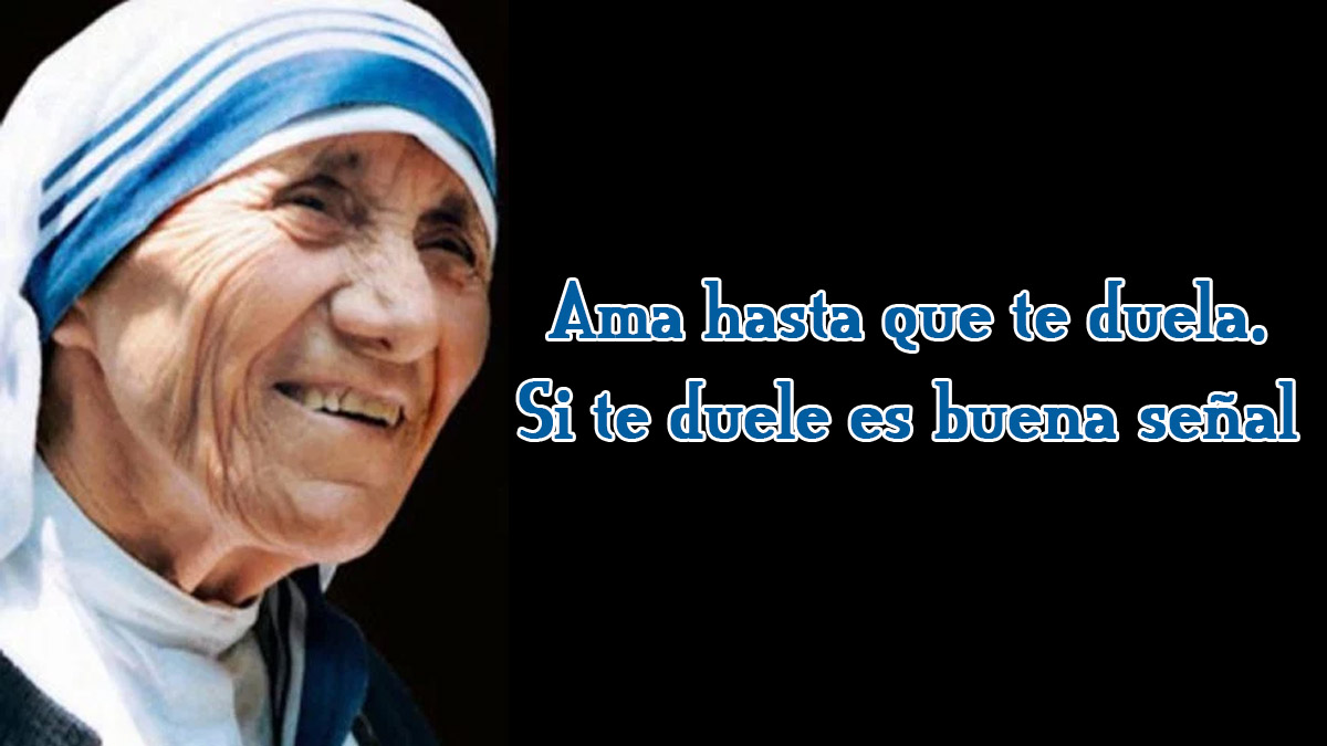 Frase Madre Teresa De Calcutá - MODISEDU