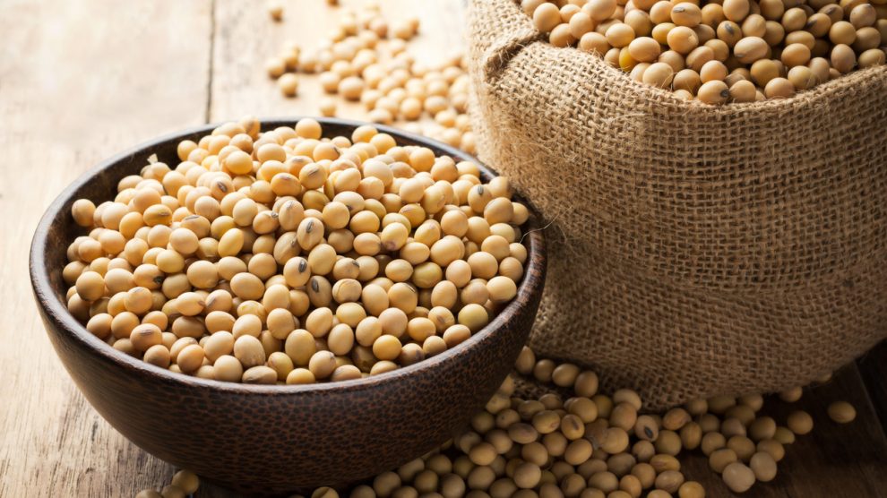 La soja fermentada es más saludable.