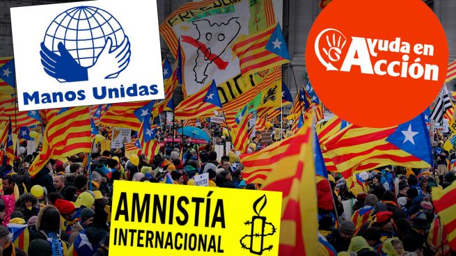 Ayuda en Acción, Manos Unidas y Amnistía también integran la plataforma que ayudó a los golpistas