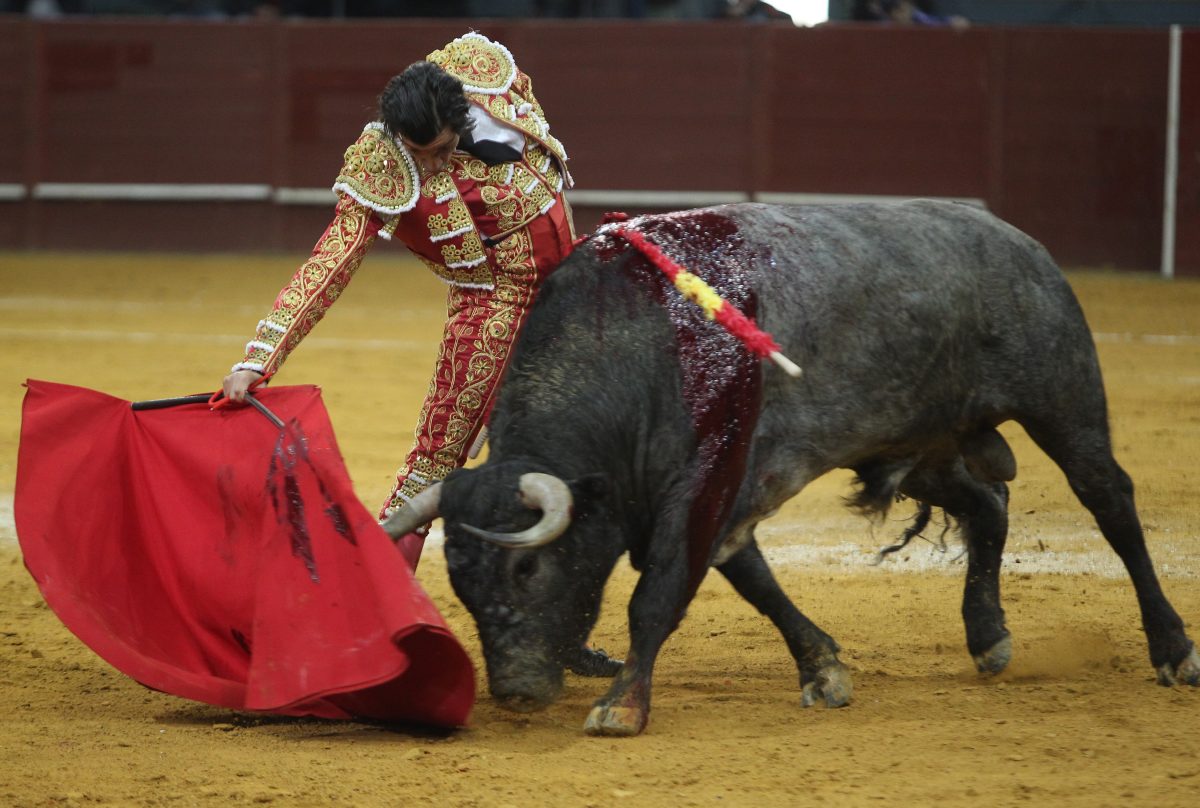 El torero Curro Díaz. (Foto: Alberto Simón)