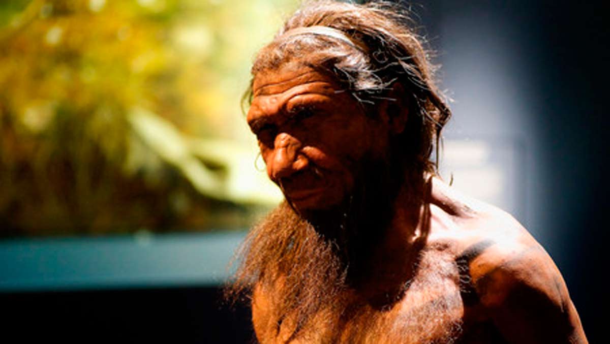 neandertales