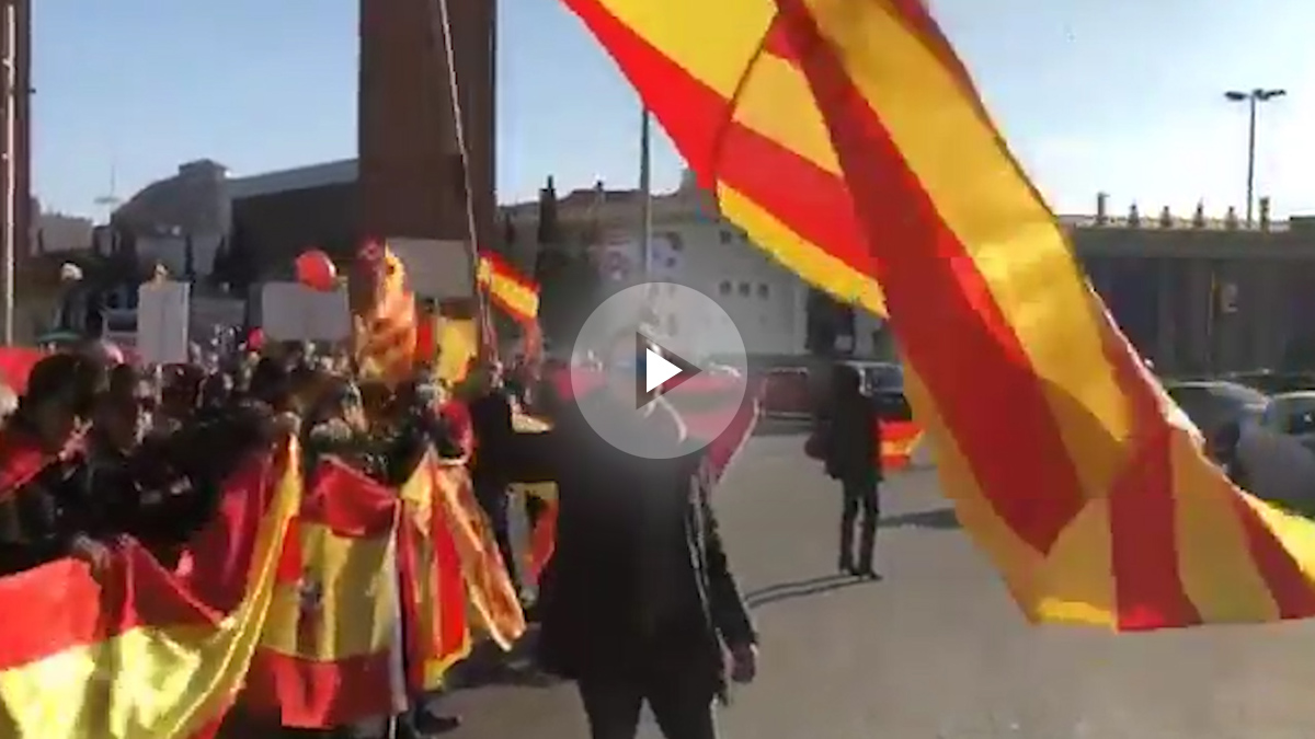 Los constitucionalistas reciben a Felipe VI con banderas de España en Barcelona
