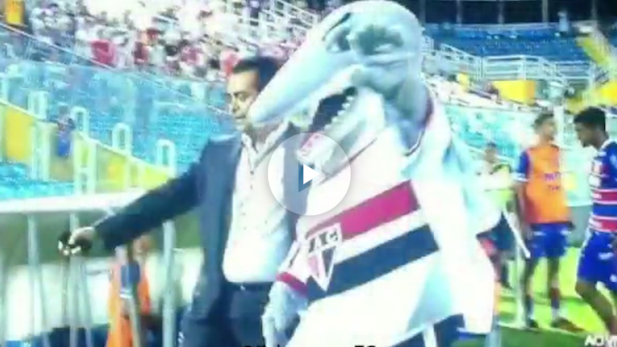 Tutuba, la mascota del Ferroviario fue expulsado por quitarse la camiseta y bailar en el córner.