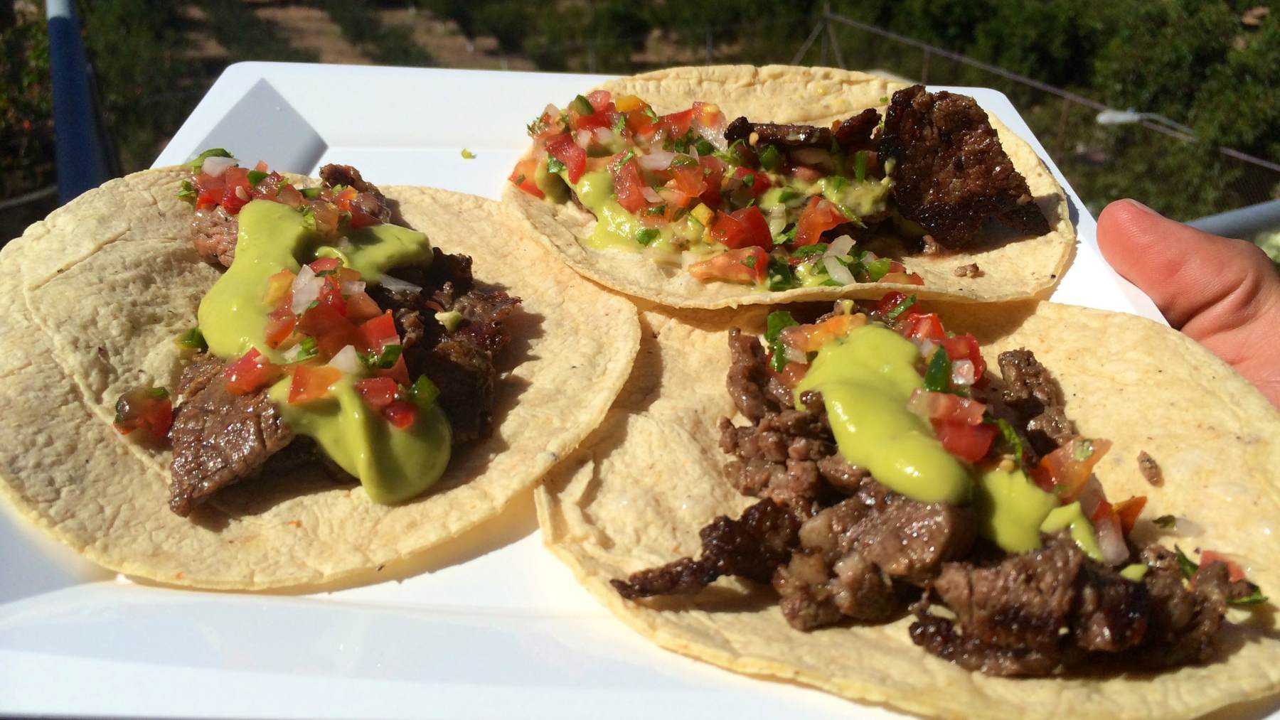 Acción de gracias Útil Corte de pelo Tacos al pastor: receta mexicana