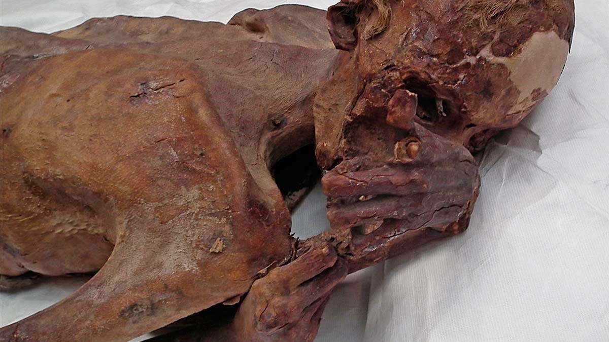 Descubren los tatuajes figurativos más antiguos en una momia egipcia (1)