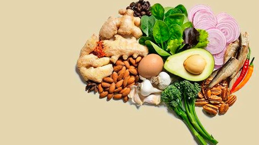 El cerebro humano necesita una ingesta adecuada de nutrientes esenciales.