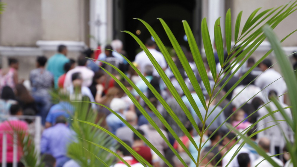 Consulta aquí el itinerario y horario de las procesiones del Domingo de Ramos en la Semana Santa de Sevilla