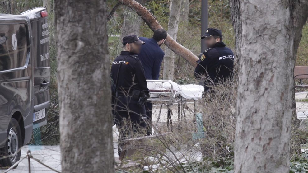 Muere un niño de 4 años al caerle encima un árbol en el parque ...