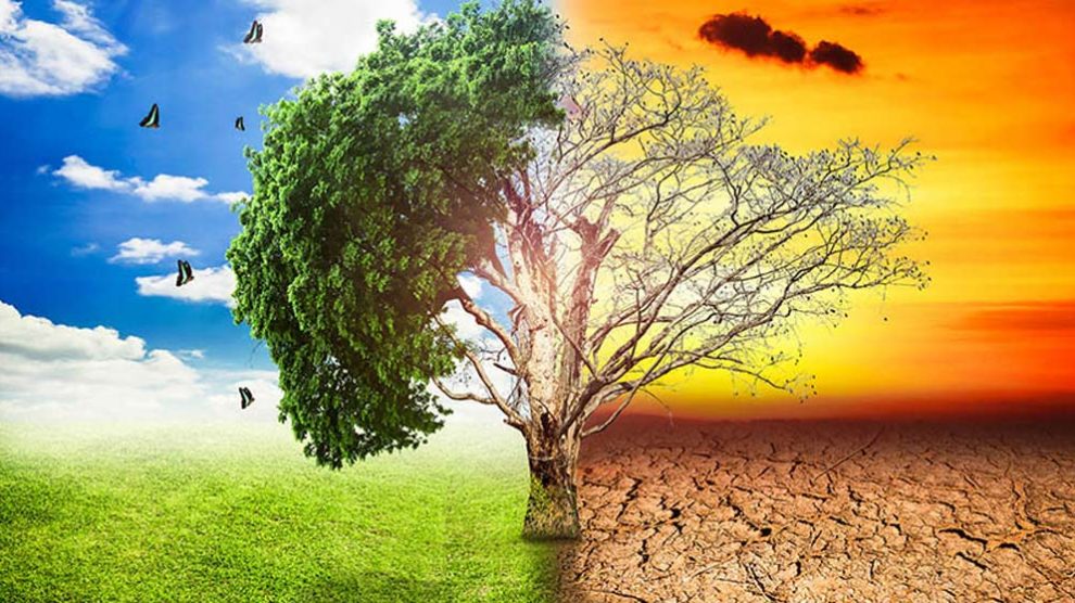 Cambio climático