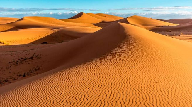 --- Egipto --- El-desierto-del-sahara-ha-crecido-un-10-desde-1920-1-655x368