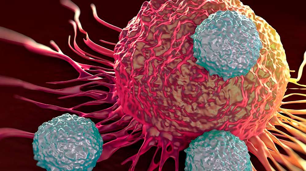 Cuando las células cancerosas se comunican hay muchas proteínas que cambian constantemente su forma de interactuar entre sí.