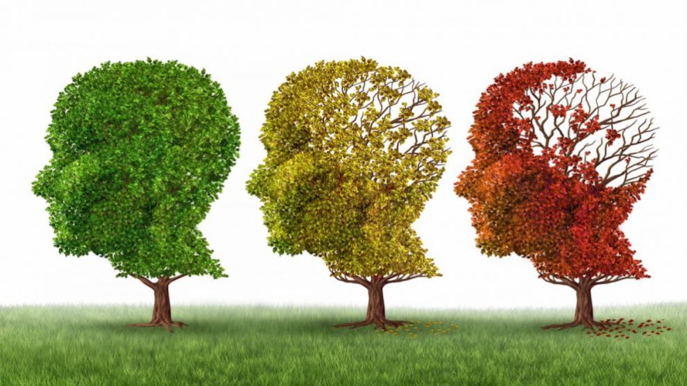 Árboles representando el alzheimer