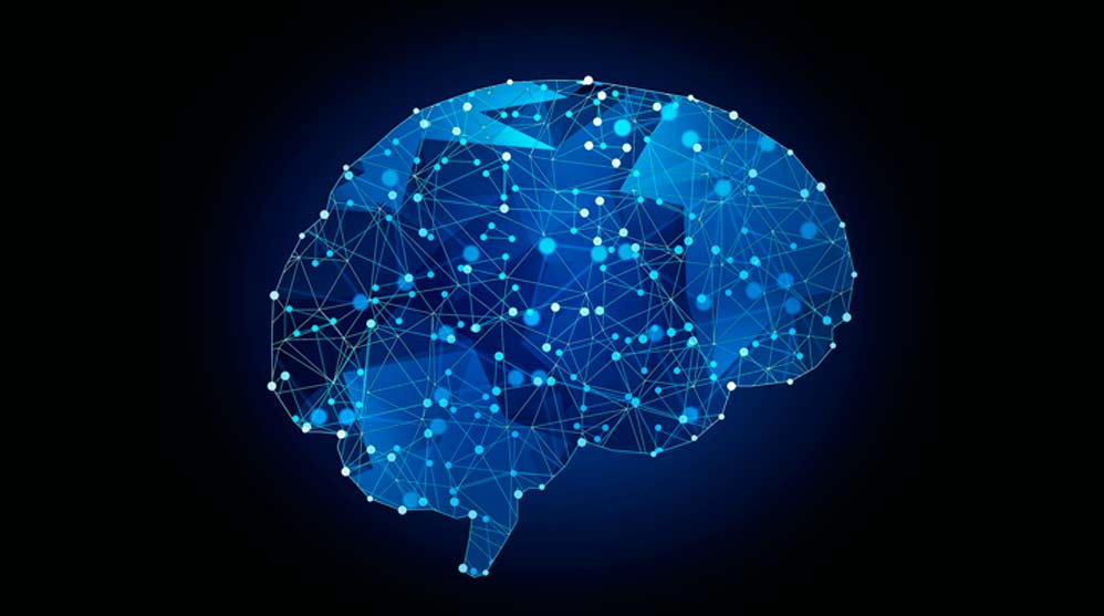 Aprender el funcionamiento de las neuronas es crucial para el entendimiento del cerebro