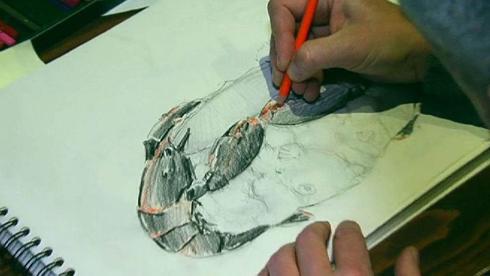 Cómo ampliar un dibujo paso a paso de forma fácil
