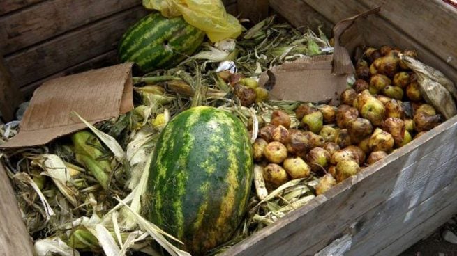 alimentos