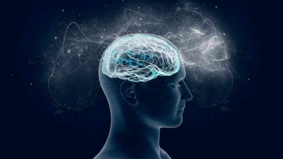 Descubren que el cerebro humano se actualiza ante los imprevistos (2)