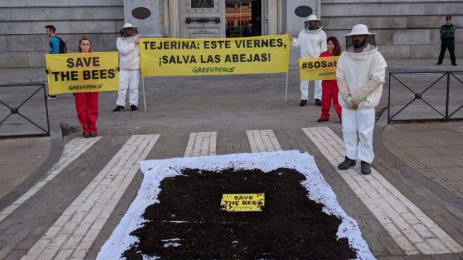 Greenpeace abejas muertas Isabel Tejerina