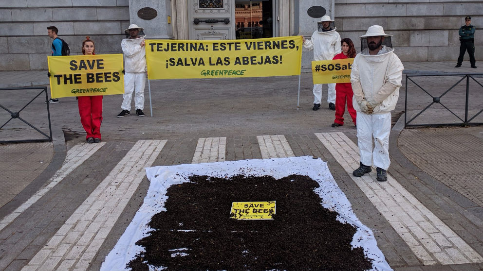 Greenpeace le ha pedido a Isabel García Tejerina que vote no a los insecticidas neonicotinoides con 20 kilos de abejas muertas. Foto: @greenpeace_esp