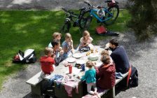 ¿Cómo disfrutar de un picnic con los hijos"