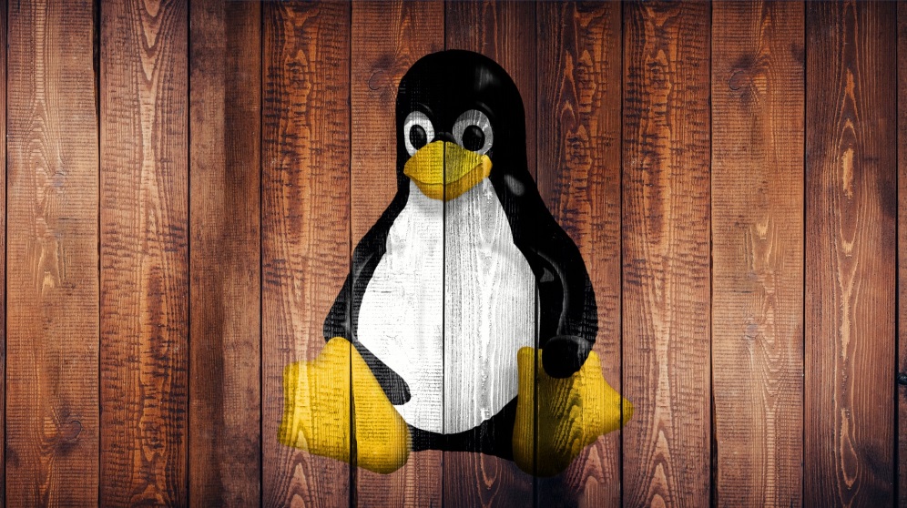 Todos los pasos para instalar Linux en tan solo unos minutos.