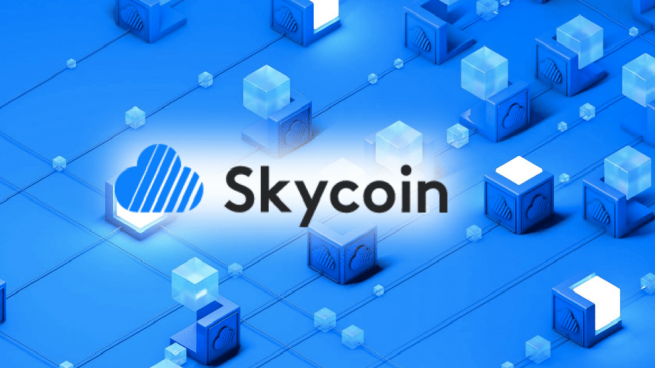 ¿En qué consiste skycoin?