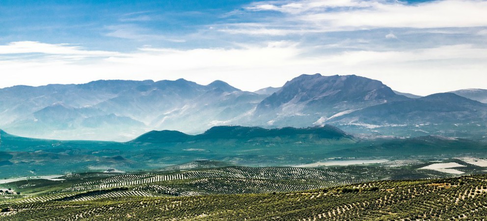 Los famosos «cerros de Úbeda»