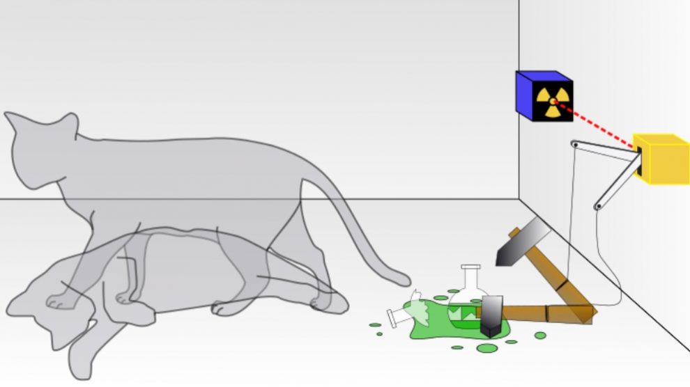 ¿Qué es la teoría del gato de Schrödinger?
