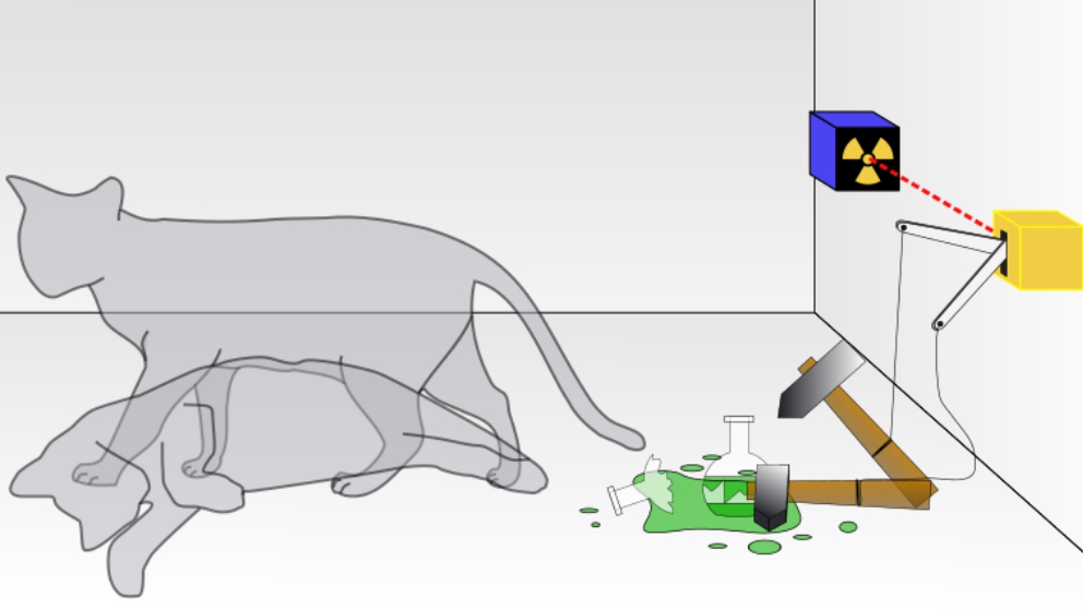 El gato de Schrödinger: ¿En qué consiste?