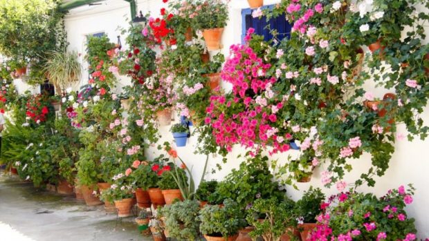 Patios de Córdoba