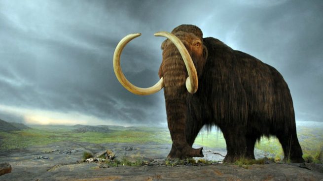 Extinción de los mamuts: ¿Fue culpa del hombre?
