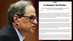 Quim Torra. (Foto: AFP)