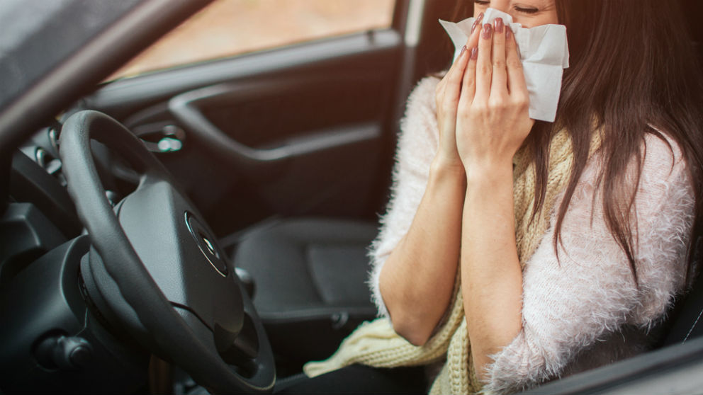 Conducir con alergia es prácticamente inevitable si se sufre de ella, pero podemos tener una serie de precauciones con las que hacer de nuestros trayectos al volante algo más seguros.