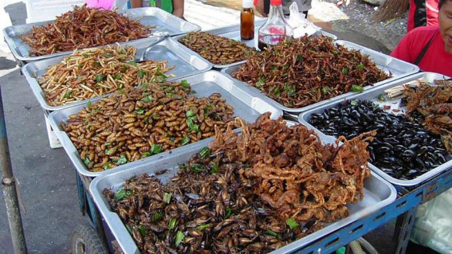 Comer insectos: ¿Está nuestro organismo preparado?